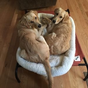 Meet your Posher, Kathy